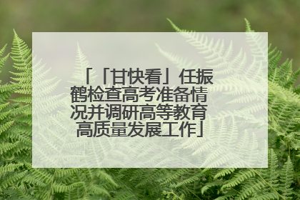「甘快看」任振鹤检查高考准备情况并调研高等教育高质量发展工作