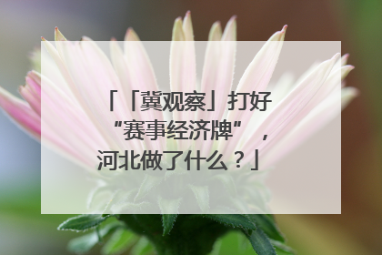 「冀观察」打好“赛事经济牌”，河北做了什么？