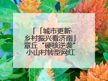 「城市更新· 乡村振兴看济南」章丘“硬核逆袭” 小山村转型网红打卡地