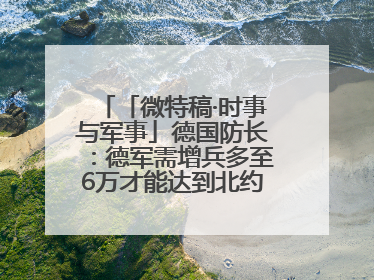 「微特稿·时事与军事」德国防长：德军需增兵多至6万才能达到北约新要求