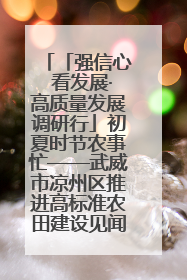「强信心 看发展·高质量发展调研行」初夏时节农事忙——武威市凉州区推进高标准农田建设见闻