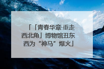 「青春华章·重走西北角」博物馆丑东西为“神马”爆火