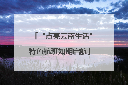 “点亮云南生活”特色航班如期启航