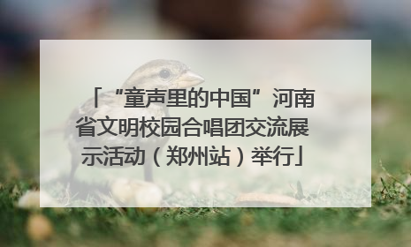 “童声里的中国”河南省文明校园合唱团交流展示活动（郑州站）举行