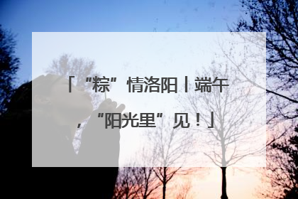 “粽”情洛阳丨端午，“阳光里”见！
