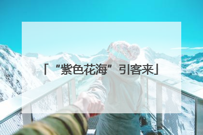 “紫色花海”引客来
