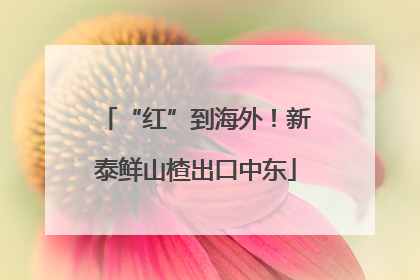“红”到海外！新泰鲜山楂出口中东