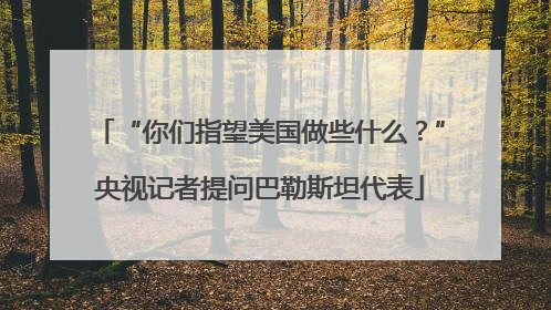 “你们指望美国做些什么？”央视记者提问巴勒斯坦代表