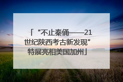 “不止秦俑——21世纪陕西考古新发现”特展亮相美国加州