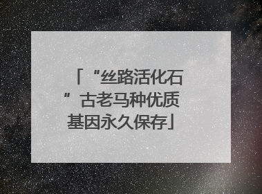 “丝路活化石”古老马种优质基因永久保存