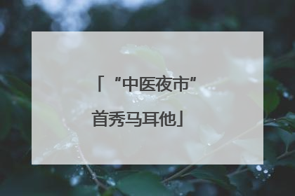 “中医夜市”首秀马耳他