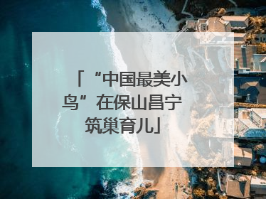 “中国最美小鸟”在保山昌宁筑巢育儿