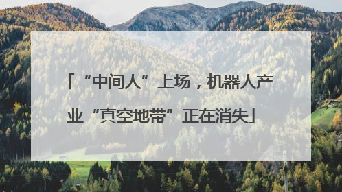 “中间人”上场，机器人产业“真空地带”正在消失
