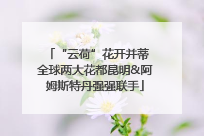 “云荷”花开并蒂 全球两大花都昆明&阿姆斯特丹强强联手