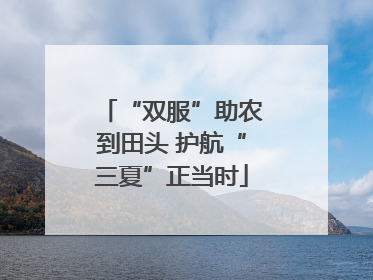 “双服”助农到田头 护航“三夏”正当时