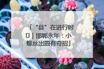 “县”在进行时⑬｜邯郸永年：小螺丝出圈有奇招