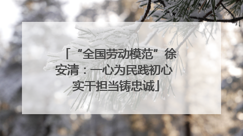 “全国劳动模范”徐安清：一心为民践初心 实干担当铸忠诚