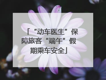 “动车医生”保障旅客“端午”假期乘车安全