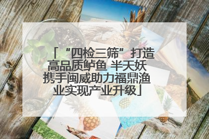 “四检三筛”打造高品质鲈鱼 半天妖携手闽威助力福鼎渔业实现产业升级