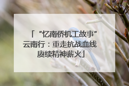 “忆南侨机工故事”云南行：重走抗战血线 赓续精神薪火