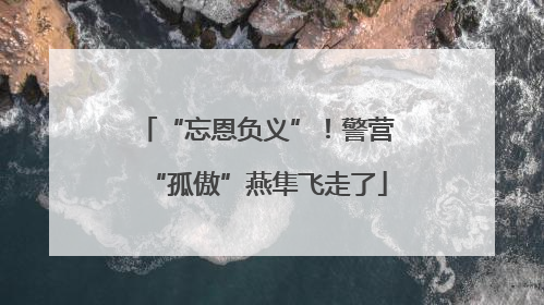 “忘恩负义”！警营“孤傲”燕隼飞走了