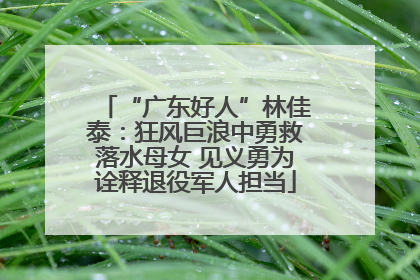 “广东好人”林佳泰：狂风巨浪中勇救落水母女 见义勇为诠释退役军人担当