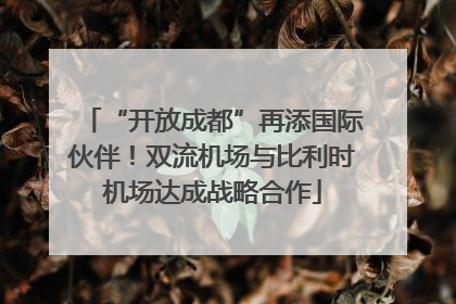 “开放成都”再添国际伙伴！双流机场与比利时机场达成战略合作
