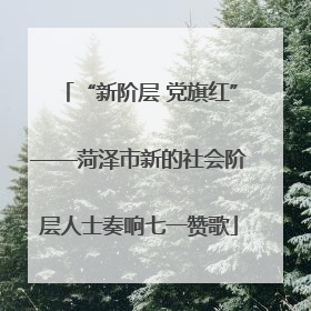 “新阶层 党旗红”——菏泽市新的社会阶层人士奏响七一赞歌