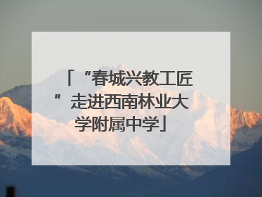“春城兴教工匠”走进西南林业大学附属中学