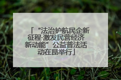 “法治护航民企新征程·激发民营经济新动能”公益普法活动在昆举行