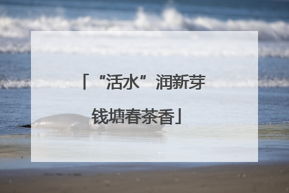 “活水”润新芽 钱塘春茶香