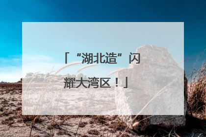 “湖北造”闪耀大湾区！