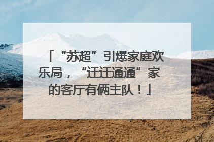 “苏超”引爆家庭欢乐局，“迁迁通通”家的客厅有俩主队！