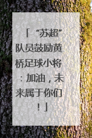 “苏超”队员鼓励黄桥足球小将：加油，未来属于你们！