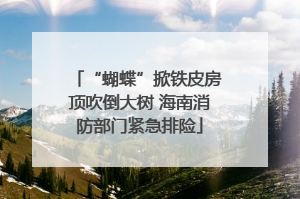 “蝴蝶”掀铁皮房顶吹倒大树 海南消防部门紧急排险