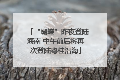 “蝴蝶”昨夜登陆海南 中午前后将再次登陆粤桂沿海