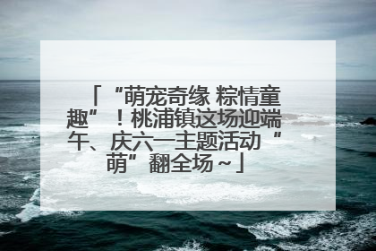 “萌宠奇缘 粽情童趣”！桃浦镇这场迎端午、庆六一主题活动“萌”翻全场～