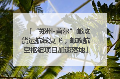 “郑州-首尔”邮政货运航线复飞，邮政航空枢纽项目加速落地