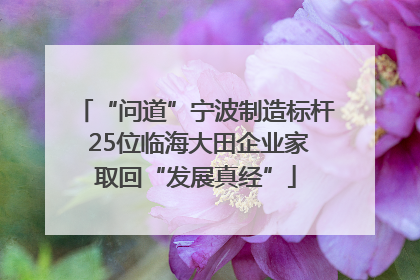 “问道”宁波制造标杆 25位临海大田企业家取回“发展真经”