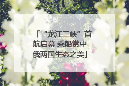 “龙江三峡”首航启幕 乘船赏中俄两国生态之美
