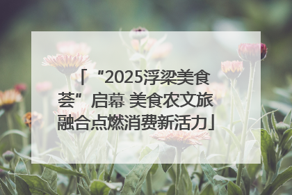 “2025浮梁美食荟”启幕 美食农文旅融合点燃消费新活力