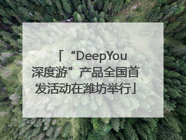 “DeepYou深度游”产品全国首发活动在潍坊举行