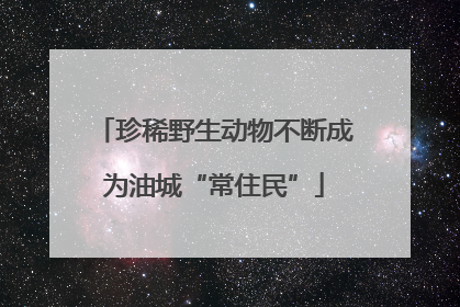珍稀野生动物不断成为油城“常住民”