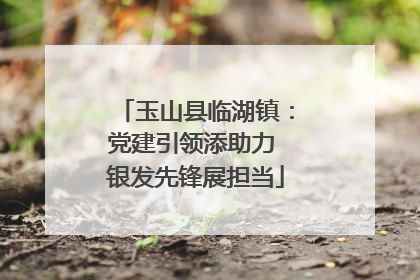 玉山县临湖镇：党建引领添助力 银发先锋展担当