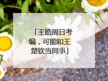 王皓周日考编，可能和王楚钦当同事
