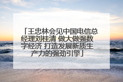 王忠林会见中国电信总经理刘桂清 做大做强数字经济 打造发展新质生产力的强劲引擎
