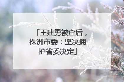 王建勇被查后，株洲市委：坚决拥护省委决定