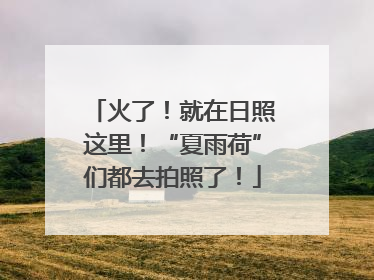 火了！就在日照这里！“夏雨荷”们都去拍照了！