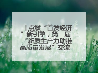 点燃“首发经济”新引擎，第二届“新质生产力助推高质量发展”交流会在成都举行