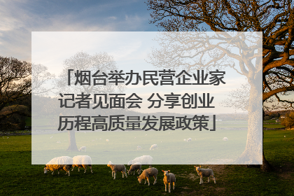 烟台举办民营企业家记者见面会 分享创业历程高质量发展政策